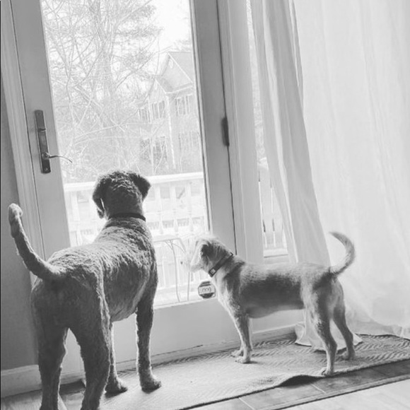 Meet your Posher, Stephen - Picture 1 of 1